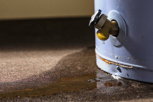 Best Flood damage cleanup  in Holiday City Berkeley, NJ