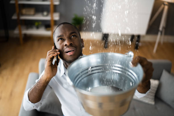 Water damage restoration mold remediation in Holiday City Berkeley, NJ