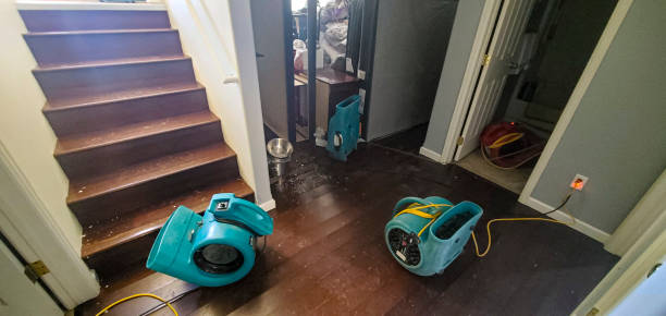 Best Sewage cleanup and water damage restoration  in Holiday City Berkeley, NJ