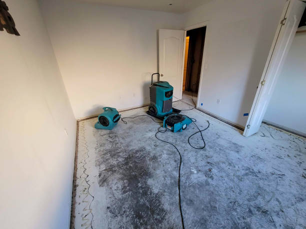 Best Water damage restoration near me  in Holiday City Berkeley, NJ