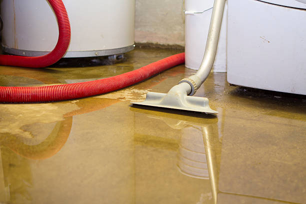 Professional Water damage restoration in Holiday City Berkeley, NJ