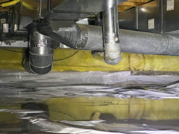 Best Water damage contractors near me  in Holiday City Berkeley, NJ