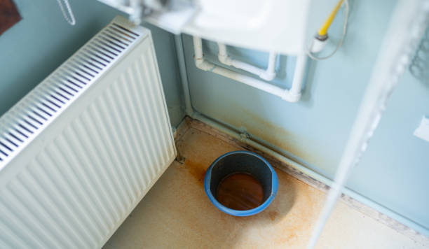 Best Carpet water damage restoration  in Holiday City Berkeley, NJ