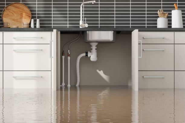 Best Water damage restoration near me  in Holiday City Berkeley, NJ