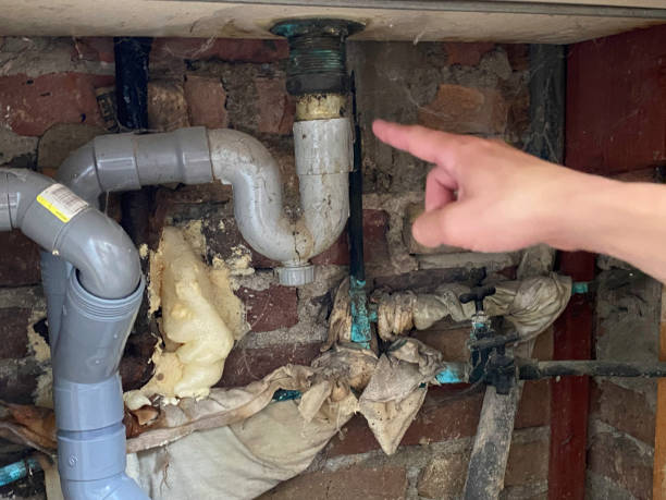 Best Mold removal after water damage  in Holiday City Berkeley, NJ